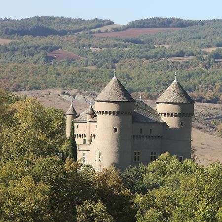 Chateau De Lugagnac Riviere-sur-Tarn Luaran gambar