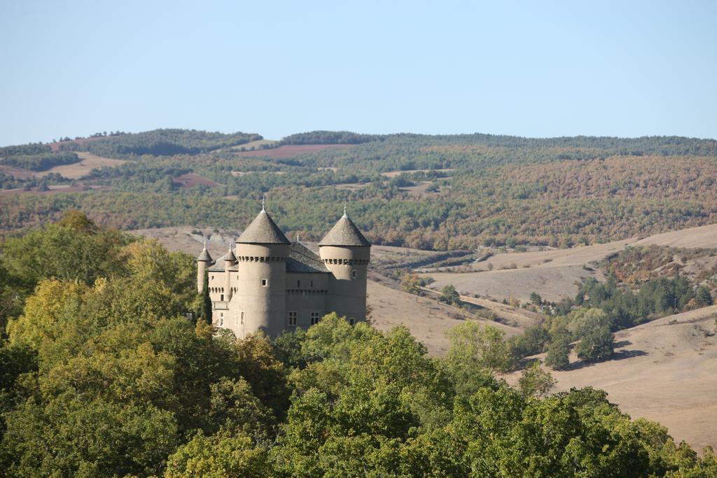 Chateau De Lugagnac Riviere-sur-Tarn Luaran gambar